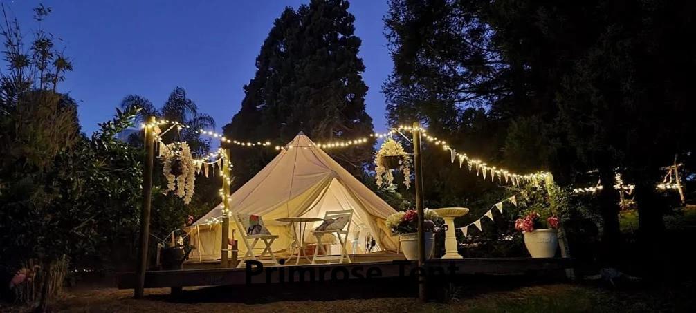 Kerikeri Glamping Hotel Exterior foto